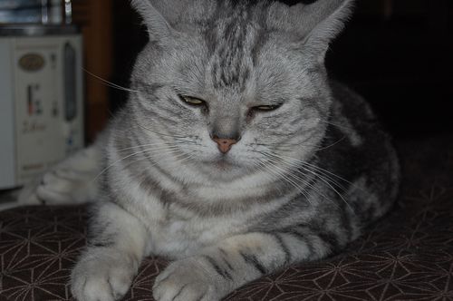DSC_0022.JPG