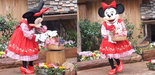BerryMinnie3