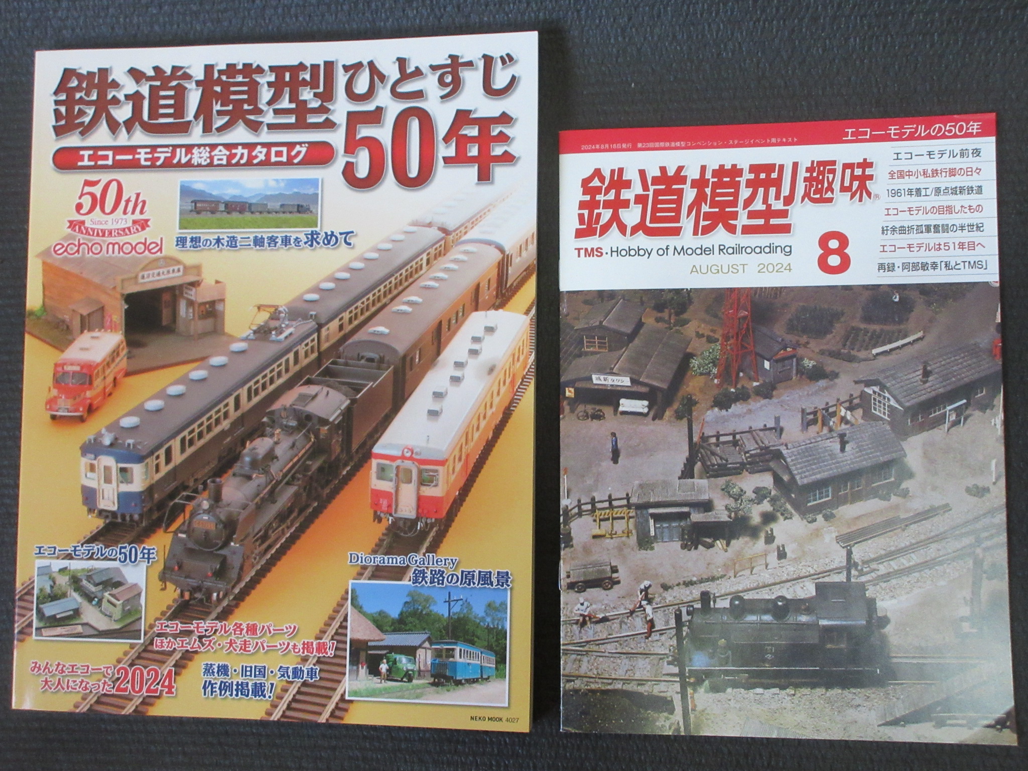 改訂新版:情熱が生んだ鉄道模型~エコーモデル・その世界2 車輌模型編~ (NEK Amazon.co.jp: 改訂新版:情熱が生んだ鉄道模型~エコーモデル