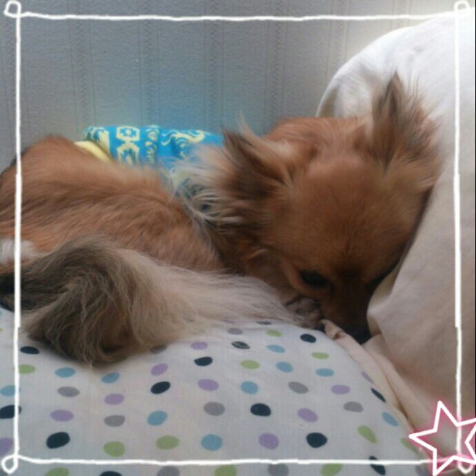 rblog-20140521161833-00.jpg