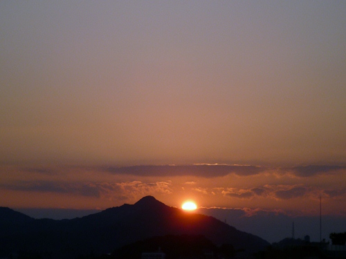 018 (500x375).jpg