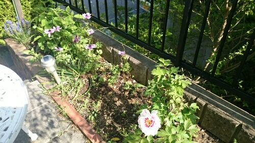 rblog-20180420214952-03.jpg
