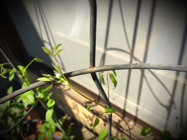 rblog-20160430181122-06.jpg