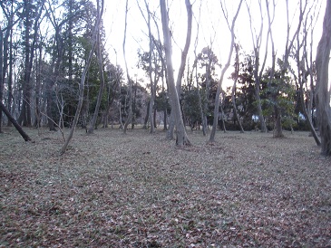 IMG_7018.JPG