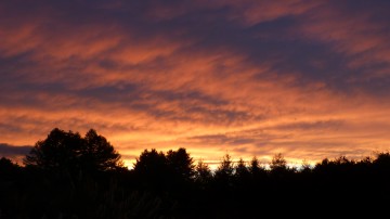 夕焼け121003