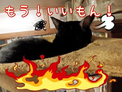 もういい.JPG