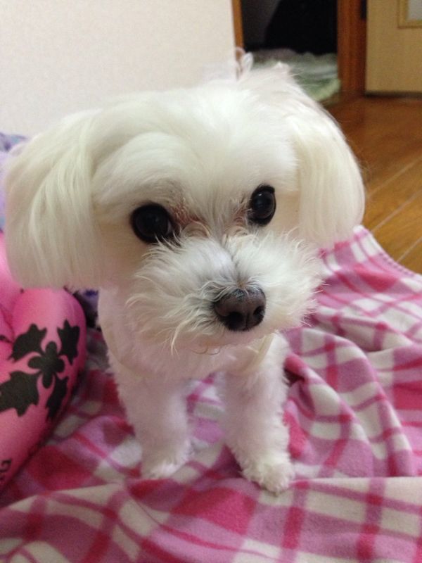 rblog-20140627082035-01.jpg