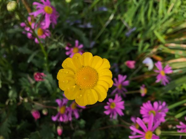 rblog-20190401163305-05.jpg