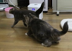 5DA_4457-19.jpg