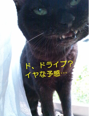 20120808_3.jpg