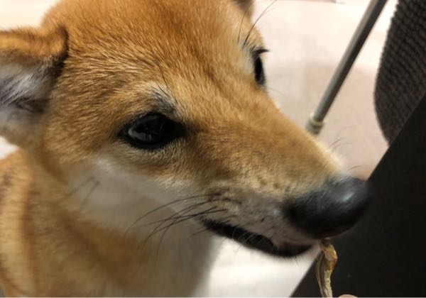 rblog-20190108115725-07.jpg