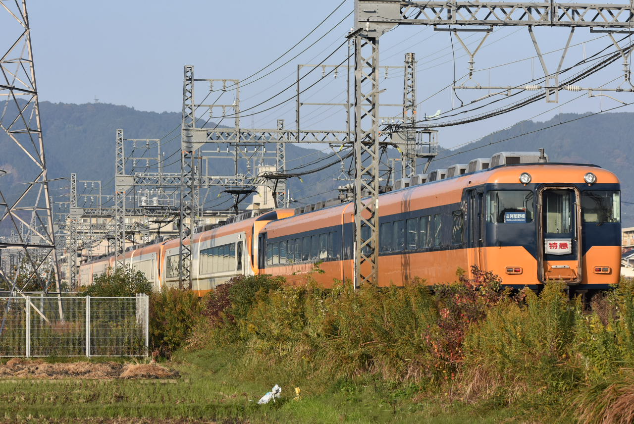 DSC_7233.JPG
