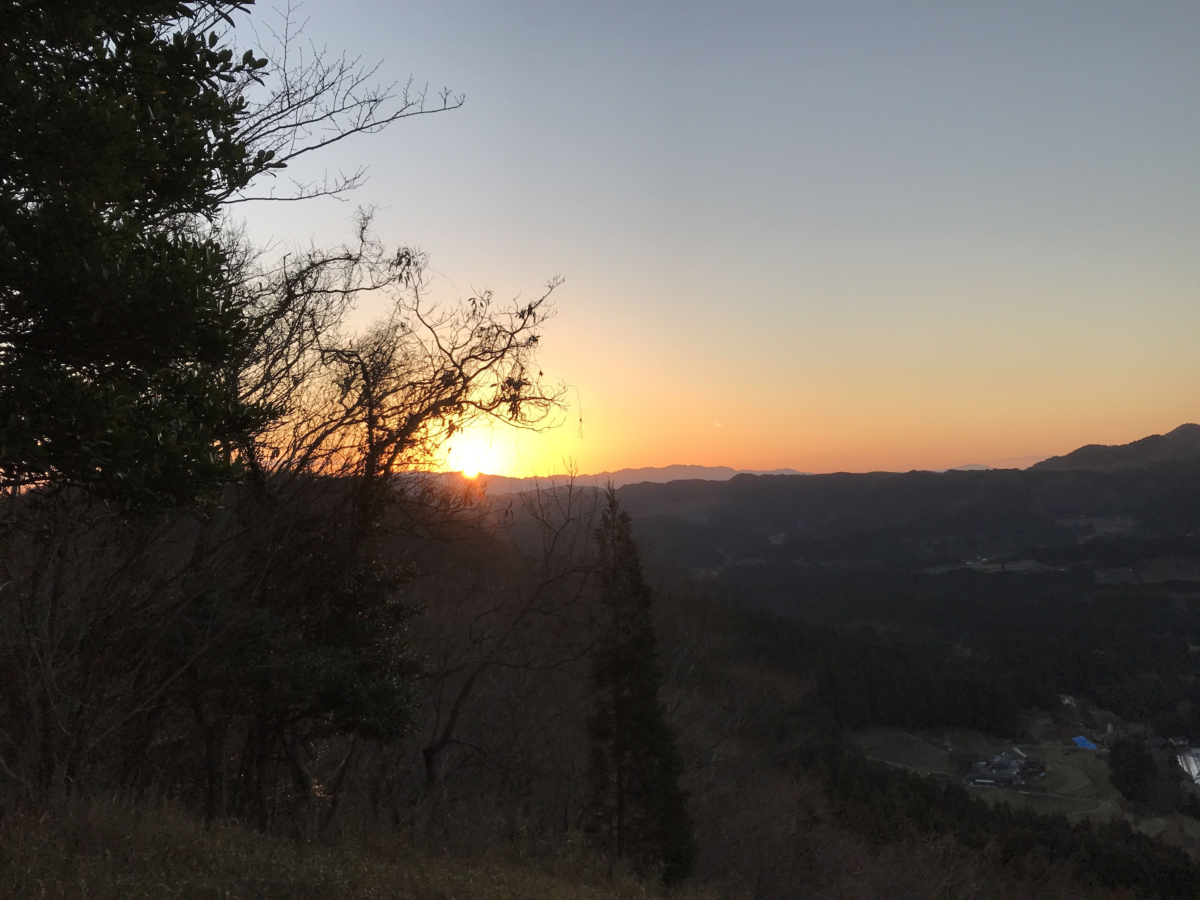 柴犬好き集まれ！！