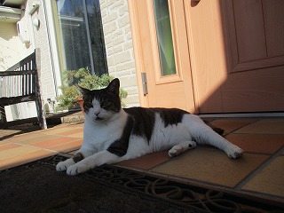IMG_8224ss.jpg