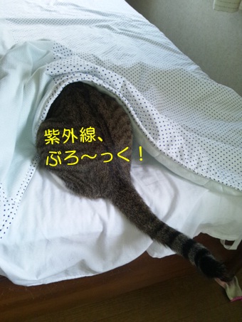 20120810_2.jpg