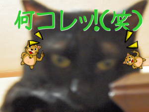 P7020033.png