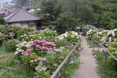 s-DSC_0375.jpg