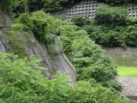 DSC09435.JPG