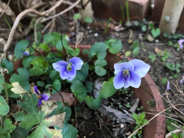 rblog-20180408181528-08.jpg