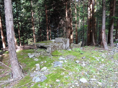 DSC01615.JPG