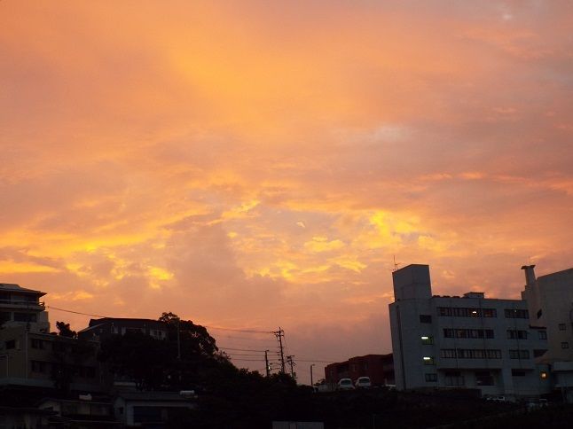 夜明けの歌。私の英語勉強・辞書と親しむ。 老いてこそ勉強 楽天ブログ