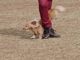 20121104132152[1].jpg