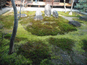 DSCN2635.jpg