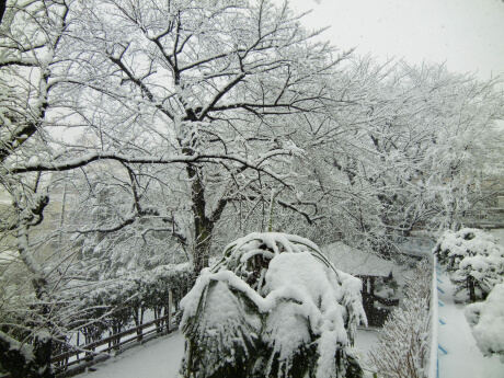 雪景色