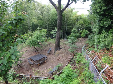 DSC09126.JPG