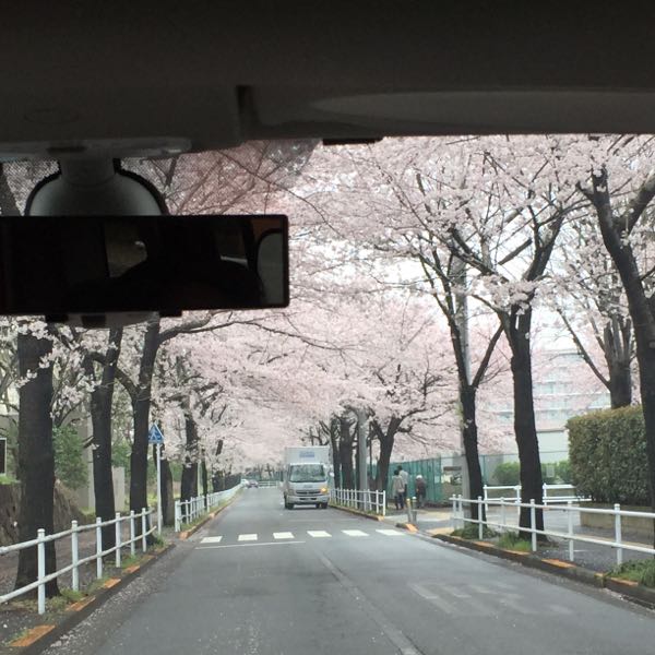 rblog-20160403215027-01.jpg