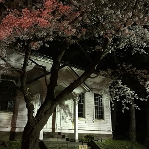 ５－５３函館公園.JPG
