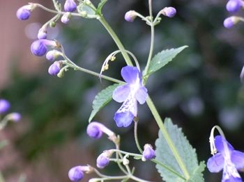 RIMG001602102014.JPG