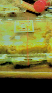 onigiri