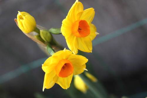 2015012404.jpg