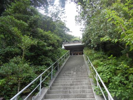 DSCN6050.JPG