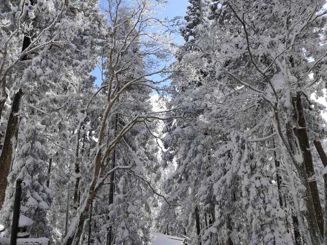 初の雪山登山に（1/29） | たけたけの休日 バイクとお寺と登山 - 楽天ブログ