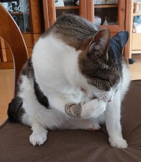 P1320291-ass.jpg
