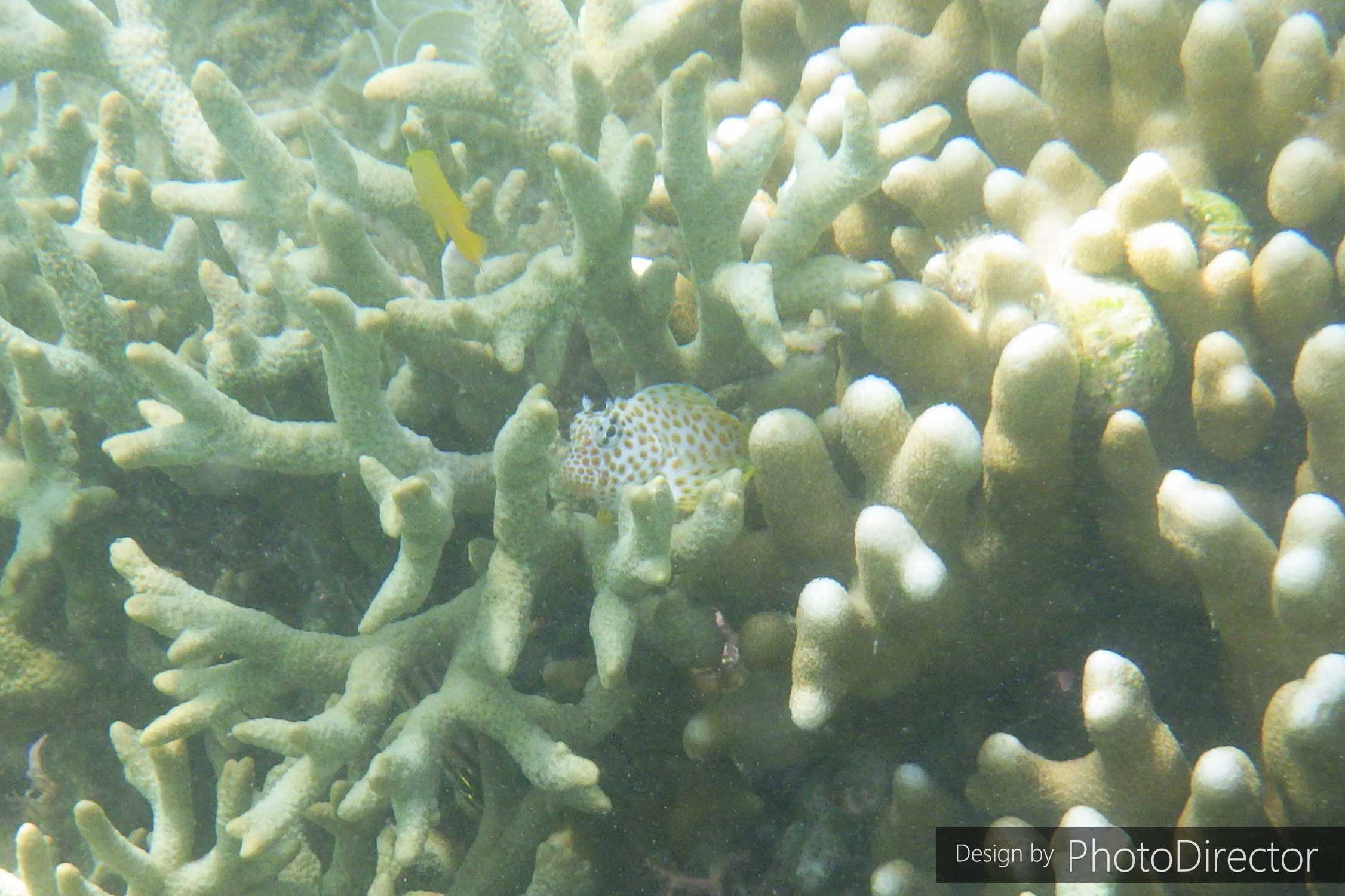 2ページ目の記事一覧 ねこログ 楽天ブログ