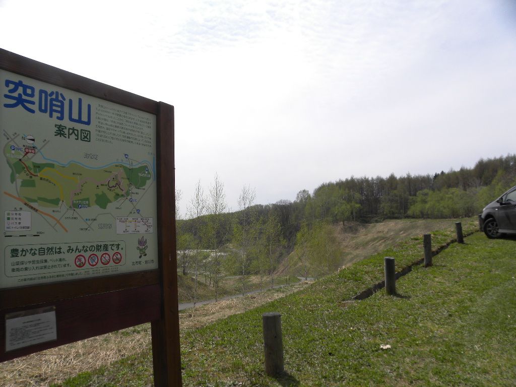 カタクリとエゾエンゴサクの群生地 突哨山に行ってきました 花に癒されて 楽天ブログ