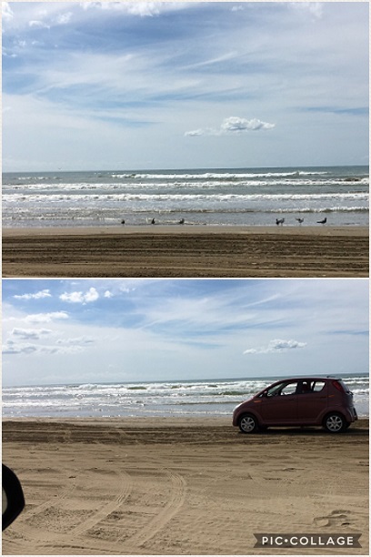 鳥と車.jpg
