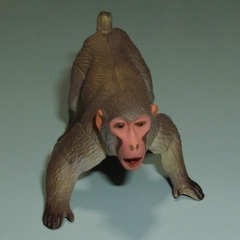 画像はイメージです