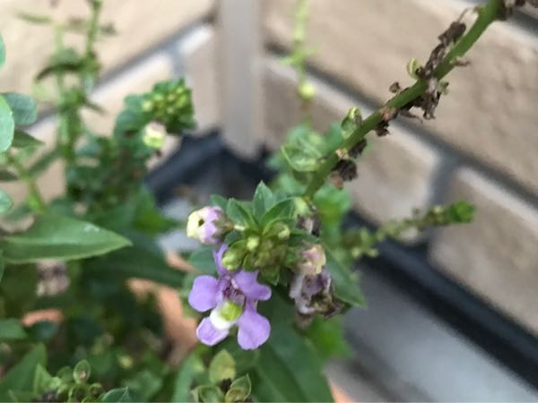 rblog-20181108170137-02.jpg