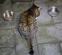 5DA_9703-4.jpg