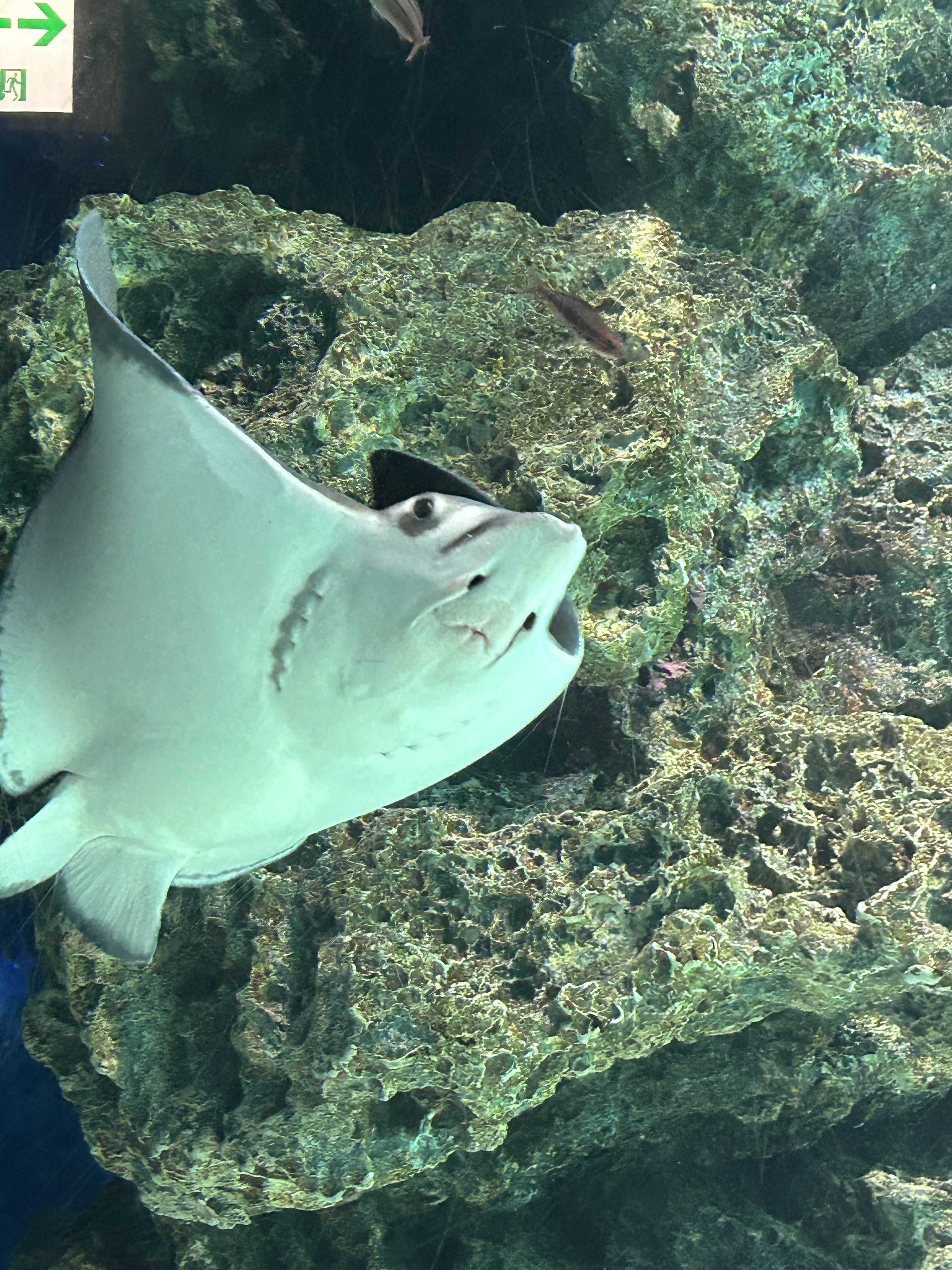 みんなの人気どの人気