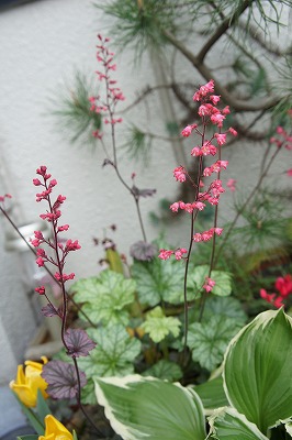 DSC01047.jpg