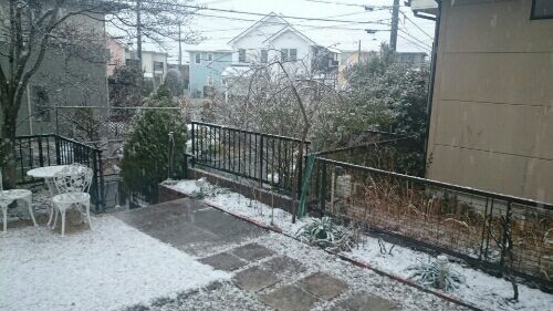 rblog-20180123065545-01.jpg