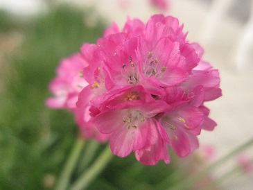 IMG_1985.JPG