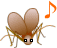 マツムシ