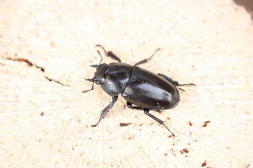 2015062808.JPG