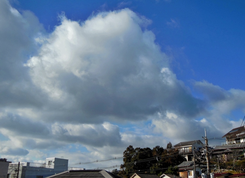 空5.JPG